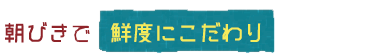 朝びきで　鮮度にこだわり